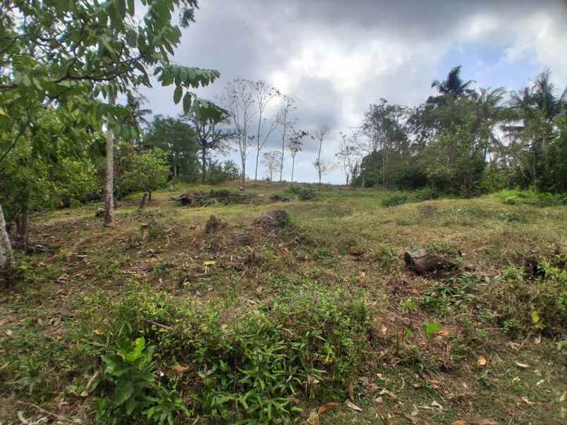 dijual tanah desa bengkel sari