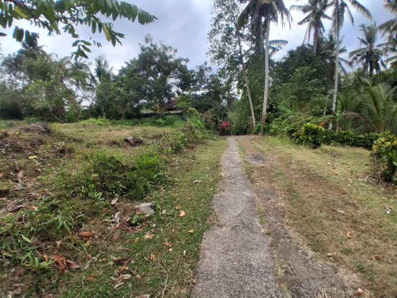 dijual tanah desa bengkel sari