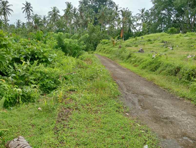 dijual tanah desa gadung sari kec