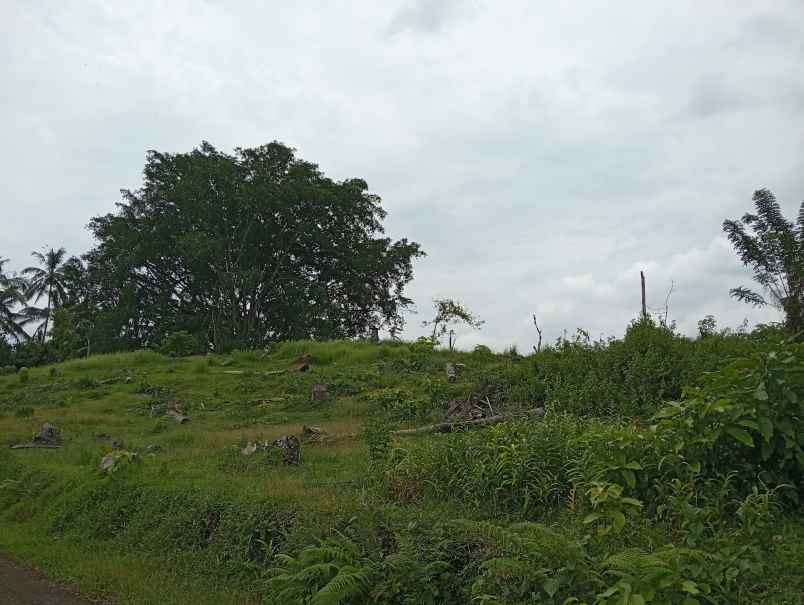 dijual tanah desa gadung sari kec