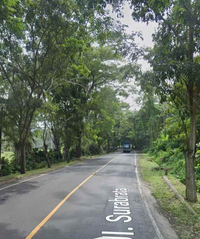 dijual tanah desa lalanglingah kec