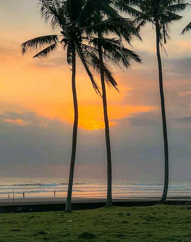 dijual tanah desa lalanglingah kec