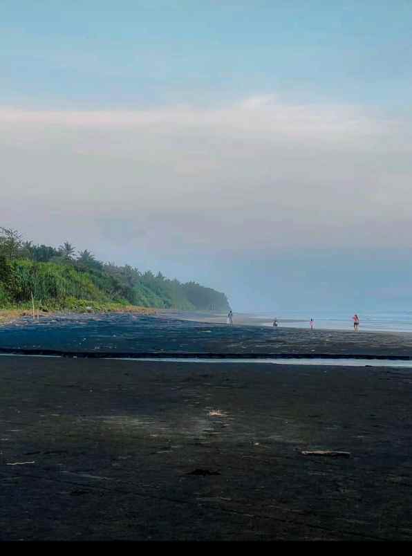 dijual tanah desa lalanglingah kec