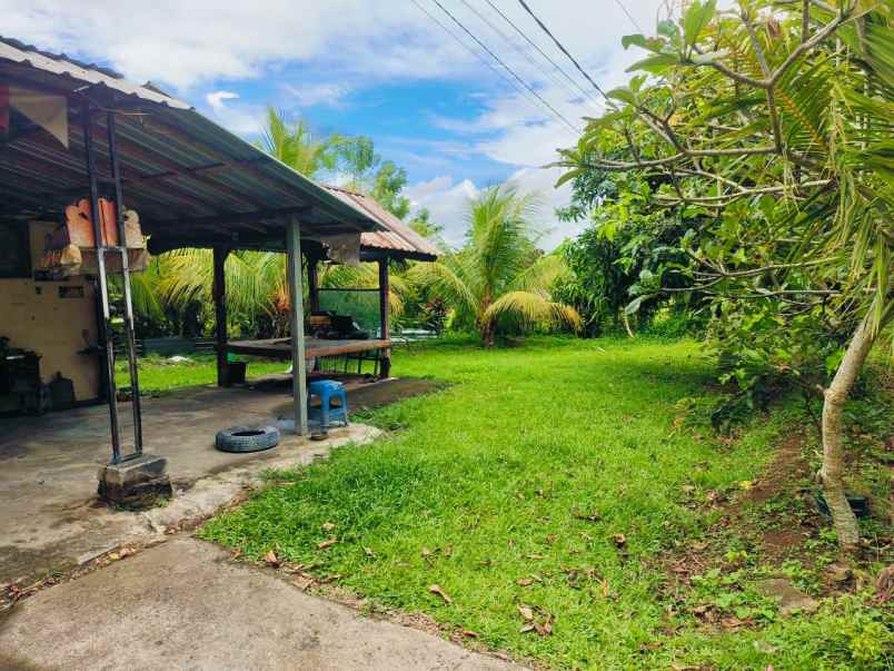 dijual tanah desa selemadeg kec