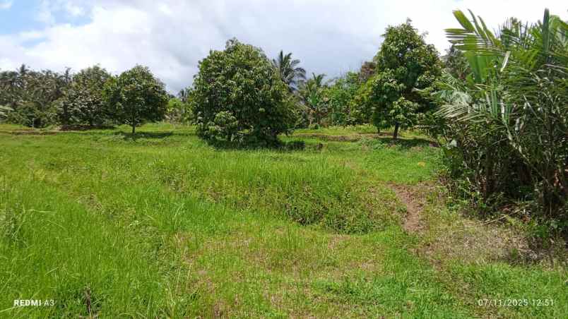 dijual tanah desa tiyinggading kec