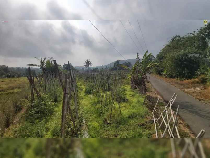 dijual tanah desa wanayasa kab purwakarta