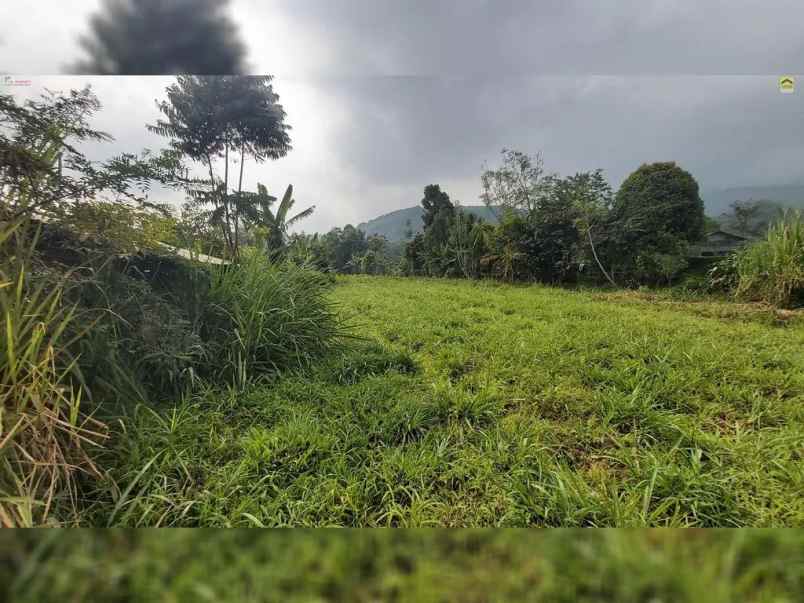 dijual tanah desa wanayasa kab purwakarta
