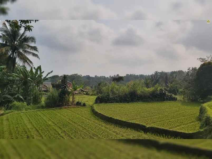 dijual tanah desa wanayasa kab purwakarta
