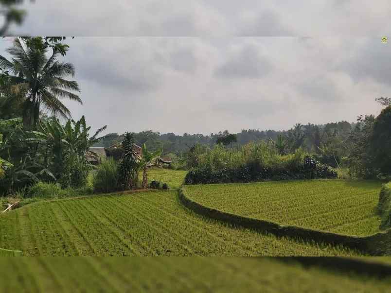 dijual tanah desa wanayasa kab purwakarta