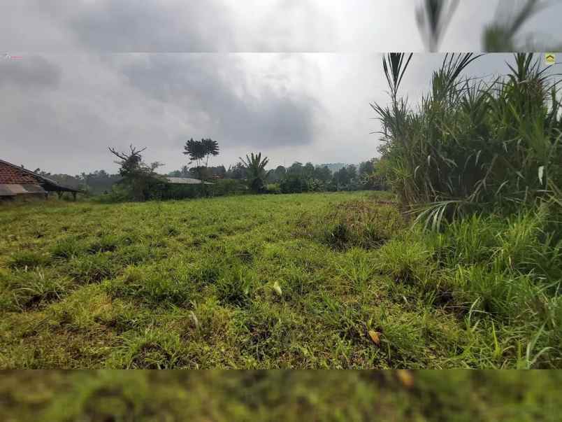dijual tanah desa wanayasa kab purwakarta