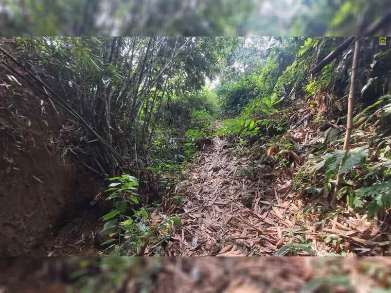 dijual tanah desa wanayasa kab purwakarta