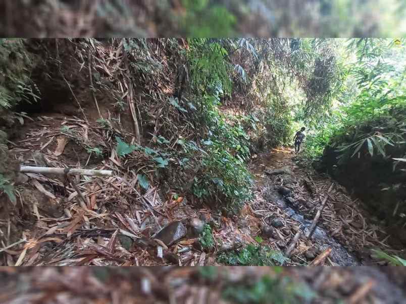 dijual tanah desa wanayasa kab purwakarta