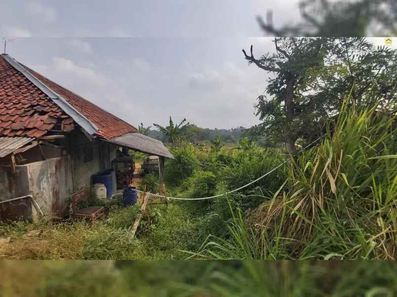 dijual tanah desa wanayasa kab purwakarta