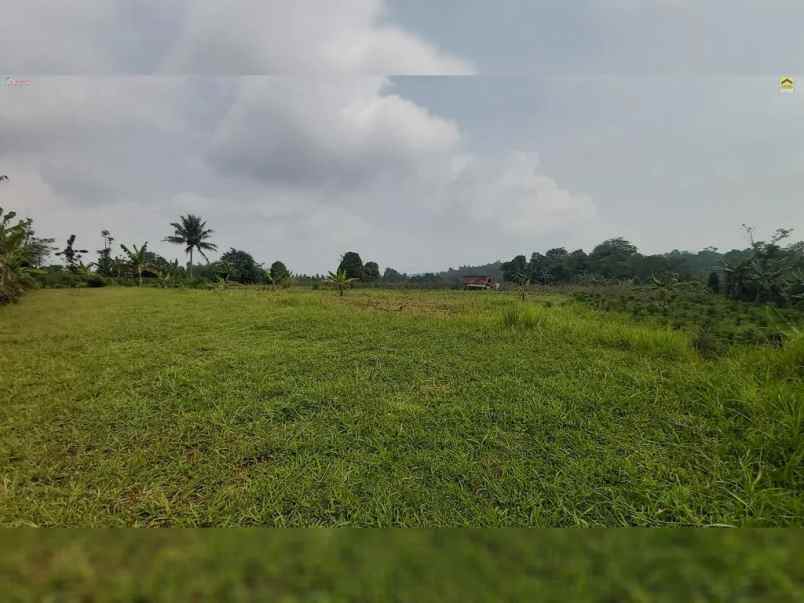 dijual tanah desa wanayasa kab purwakarta