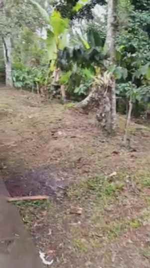 dijual tanah desa wisata belimbing