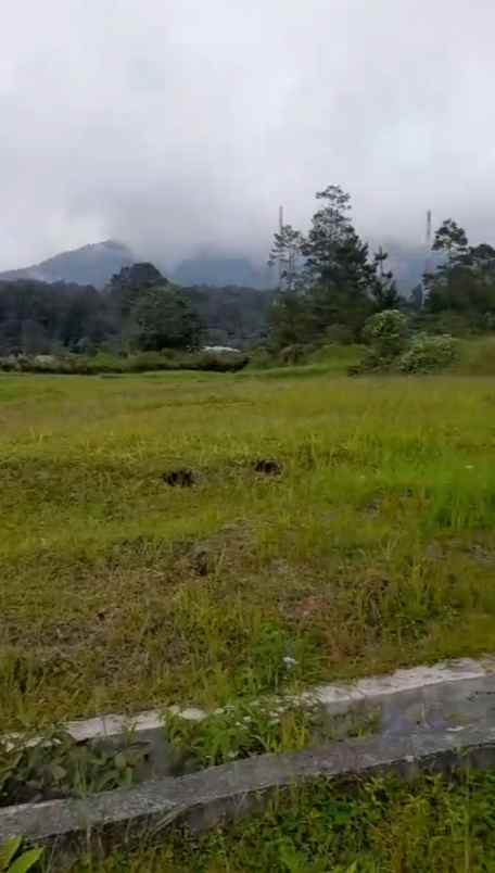 dijual tanah di bandar baru area pemukiman penduduk