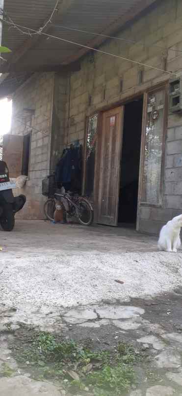 dijual tanah dijual tanah bonus rumah