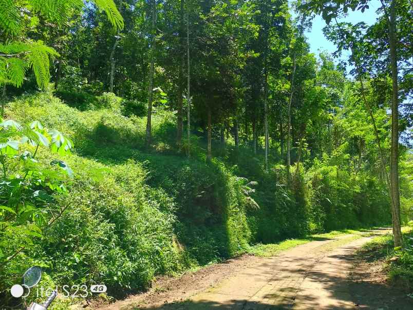 dijual tanah dijual tanah di dusun
