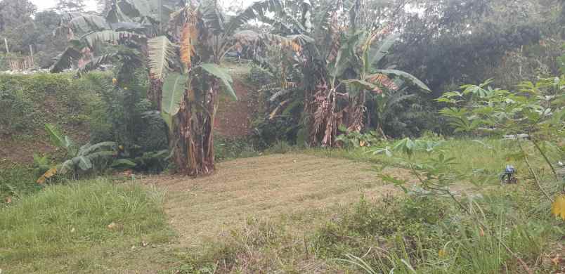 dijual tanah dijual tanah di jl siwalan