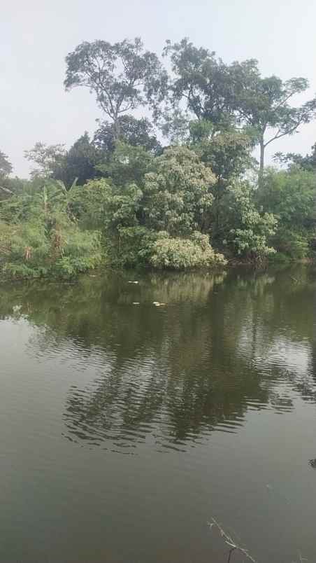 dijual tanah dijual tanah di karang