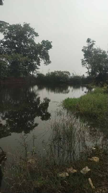 dijual tanah dijual tanah di karang