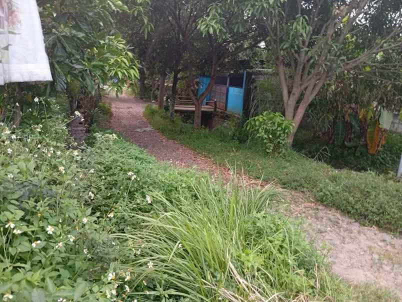 dijual tanah dlangu