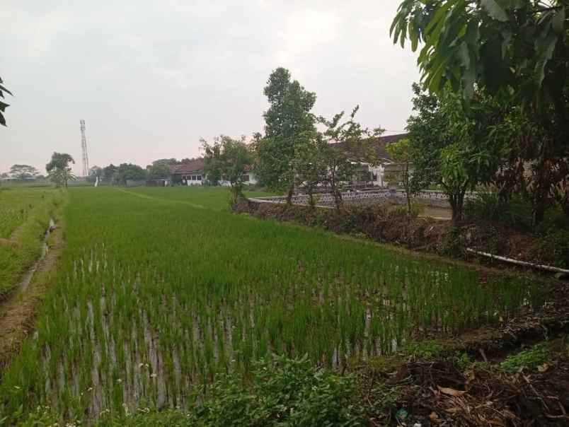 dijual tanah dlangu