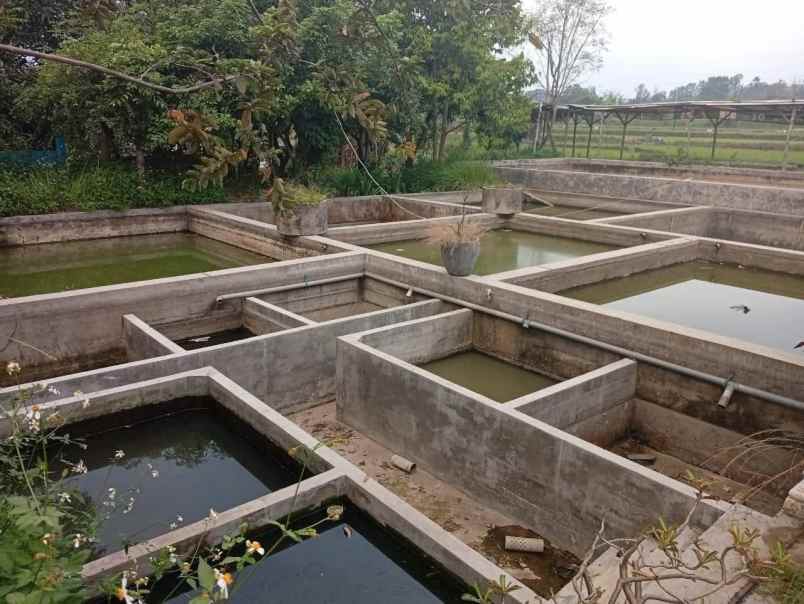 dijual tanah dlangu