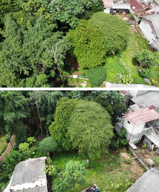 dijual tanah gang musholla darussalam