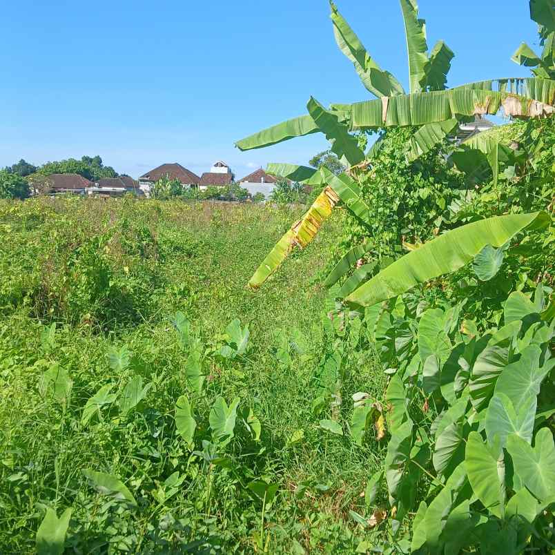 dijual tanah gatsu timur