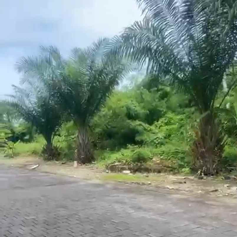 dijual tanah greenlot sambandha residence