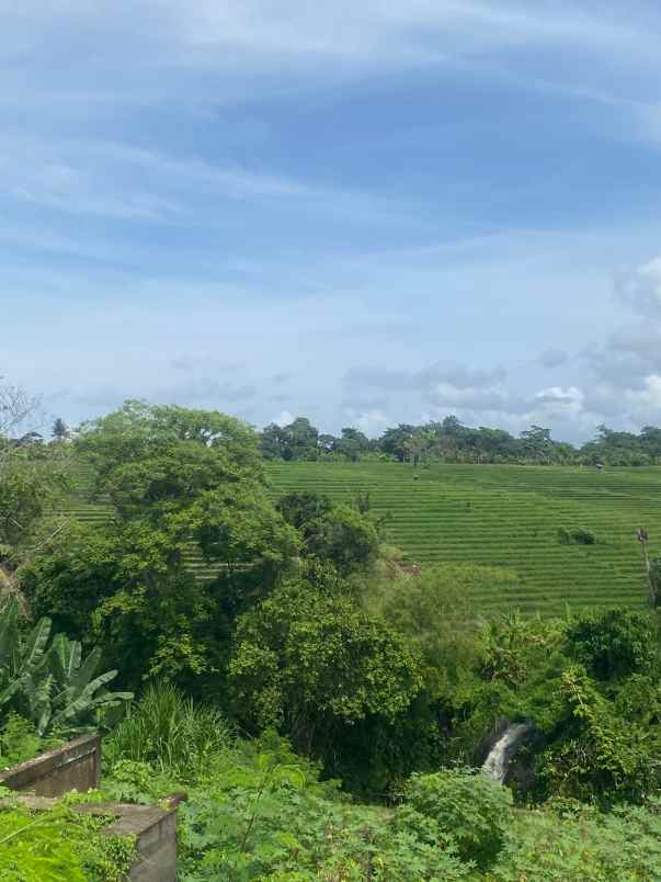 dijual tanah greenlot sambandha residence