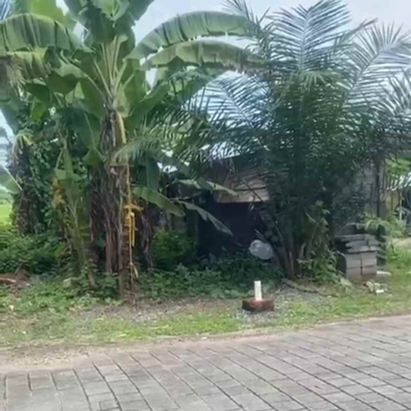 dijual tanah greenlot sambandha residence