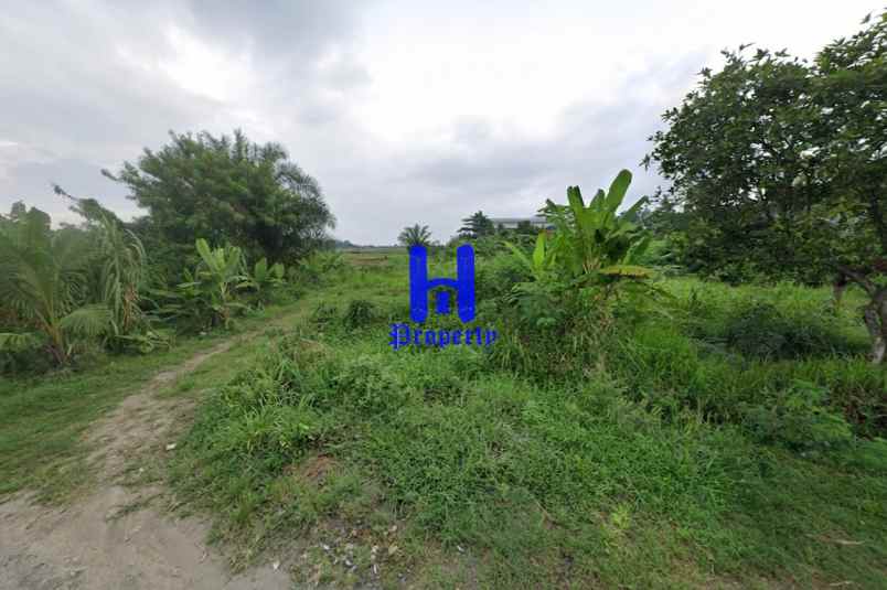 dijual tanah jalan irian barat sampali