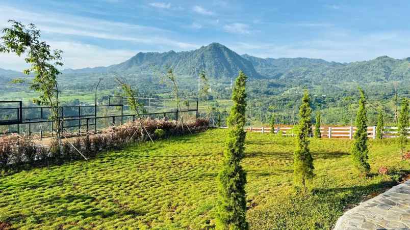 dijual tanah jalan raya puncak dua