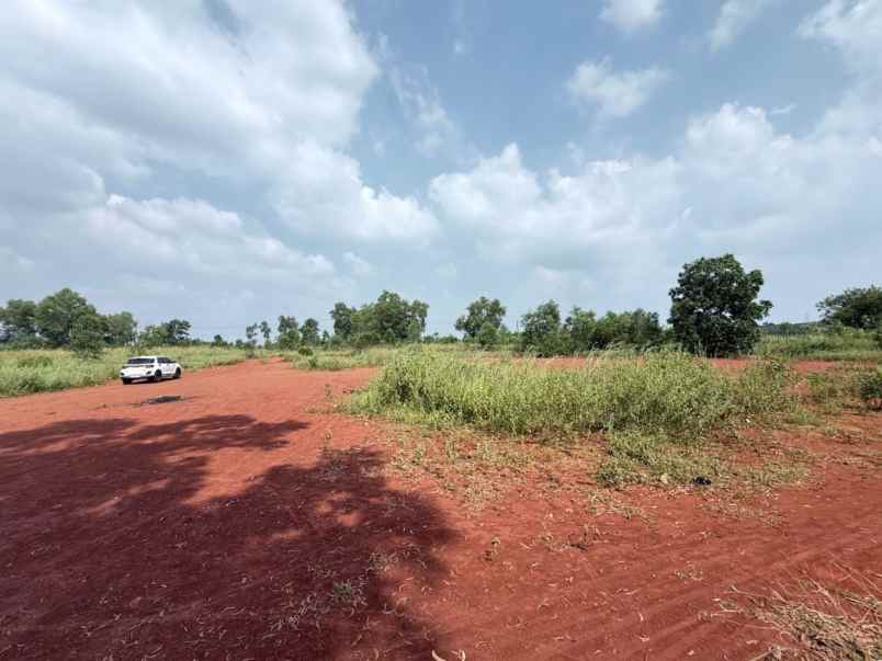 dijual tanah jalan raya tanjung garut