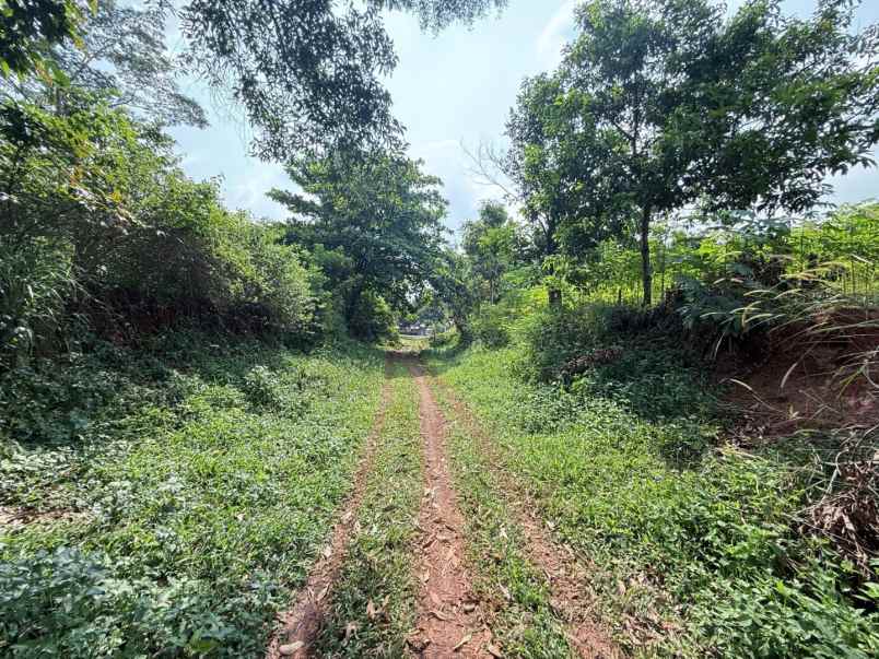 dijual tanah jalan raya tanjung garut