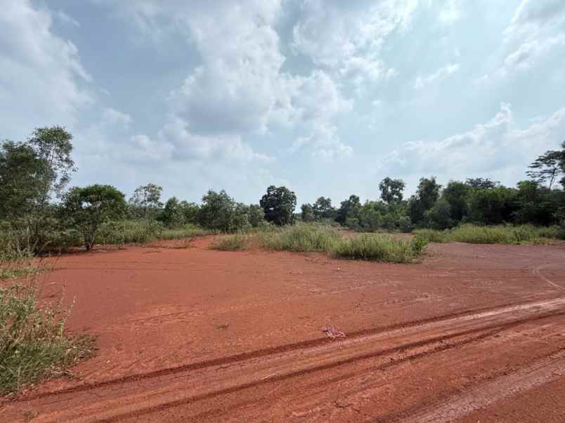 dijual tanah jalan raya tanjung garut