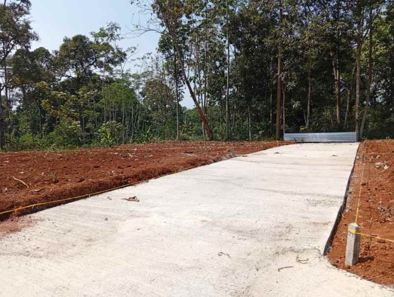 dijual tanah jatirejo