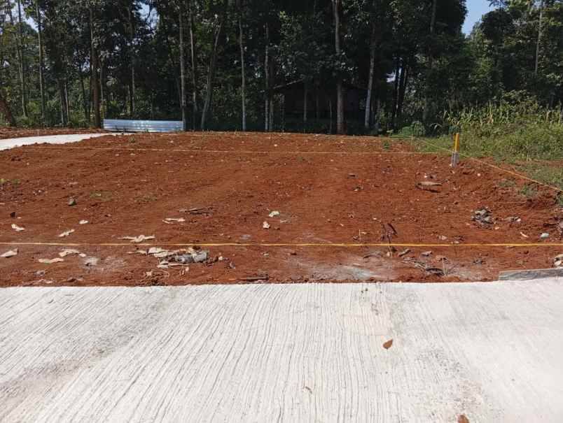 dijual tanah jatirejo