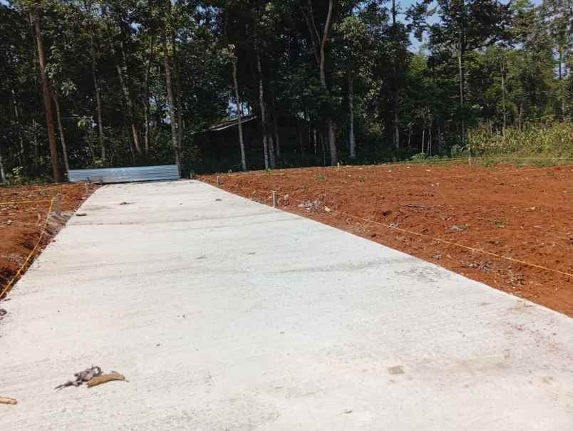 dijual tanah jatirejo