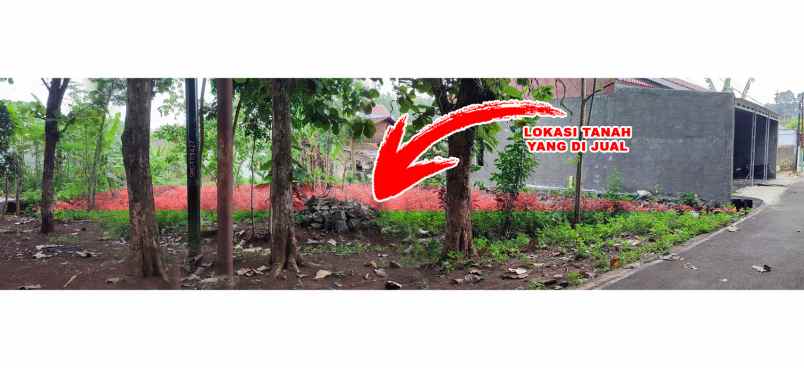 dijual tanah jl bandungsari jalan
