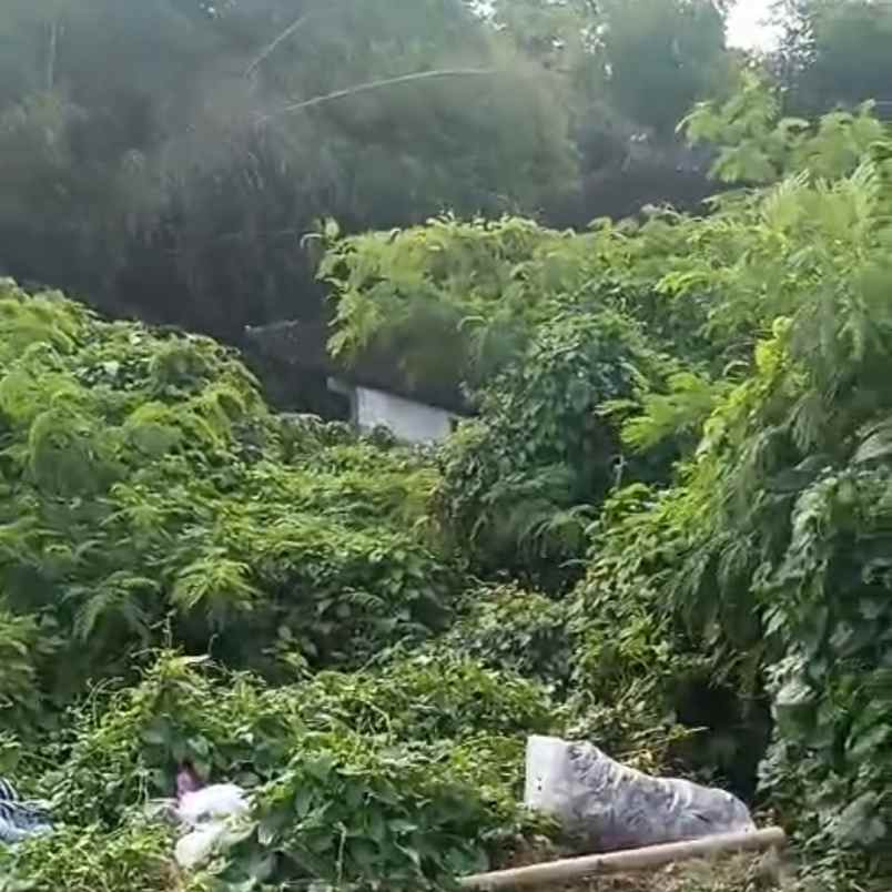 dijual tanah jl blambangan