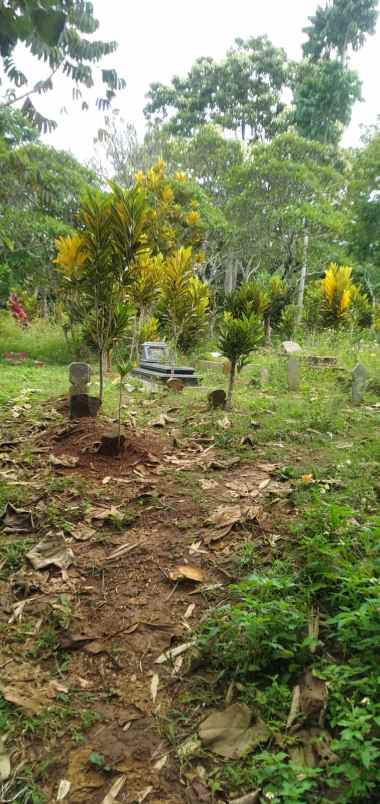 dijual tanah jl cijeruk