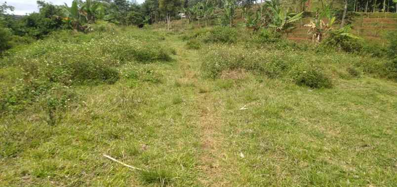 dijual tanah jl cijeruk