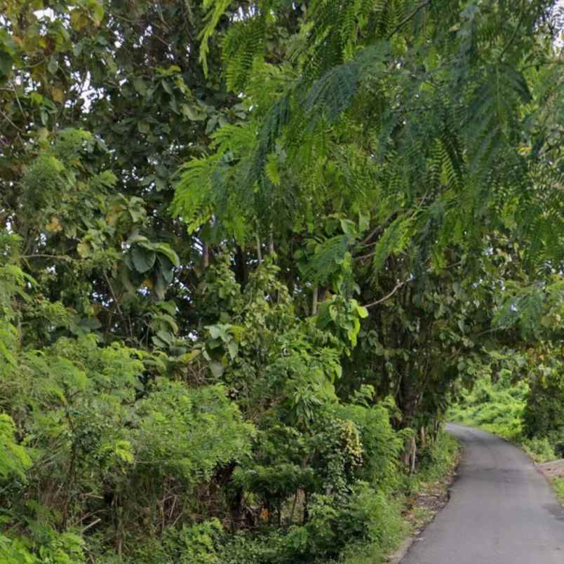 dijual tanah jl gubug sari