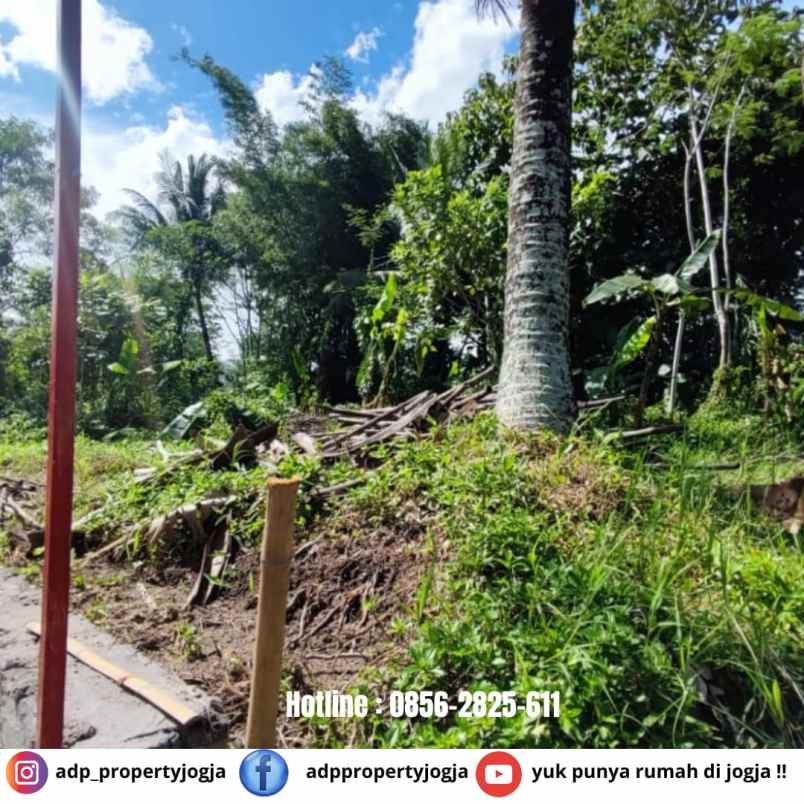 dijual tanah jl kaliurang km 18 palem