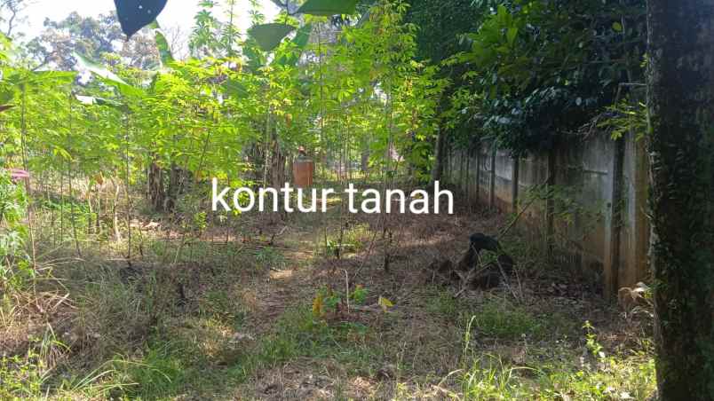 dijual tanah jl kiara jl provinsi lama