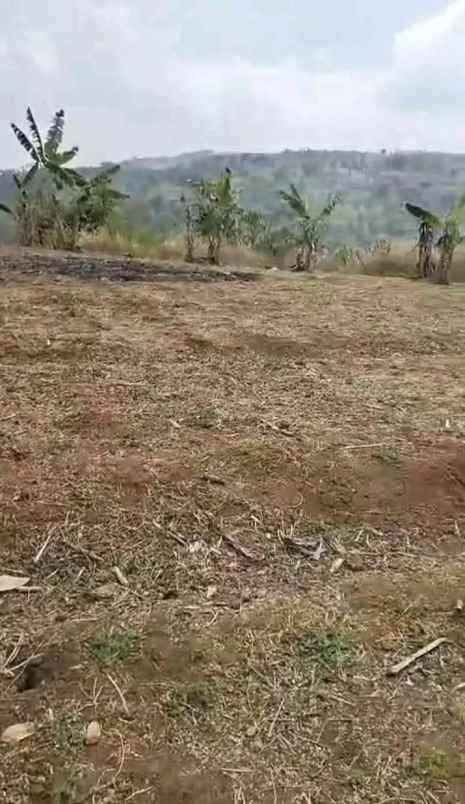 dijual tanah jl nasional iii ciaro