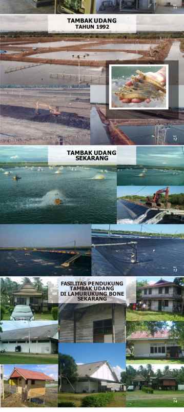 dijual tanah jl pajalele